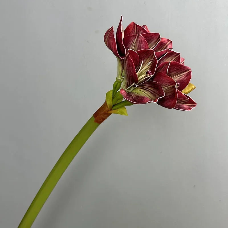 Dining Table Decorative Artificial Flowers Orange Clivias Fake Flower Hotel Decoration Real Touch Simulation Clivia Branch