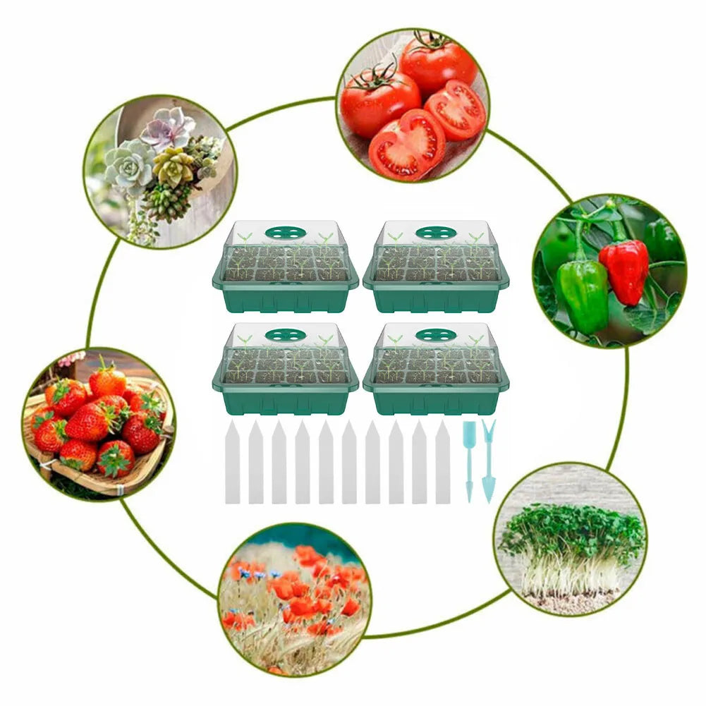 4x Mini Greenhouse 12grids Gardening Pots Starter Tray Plant Label With Ventilation Hole Flower Growing Cultivation Planting Box