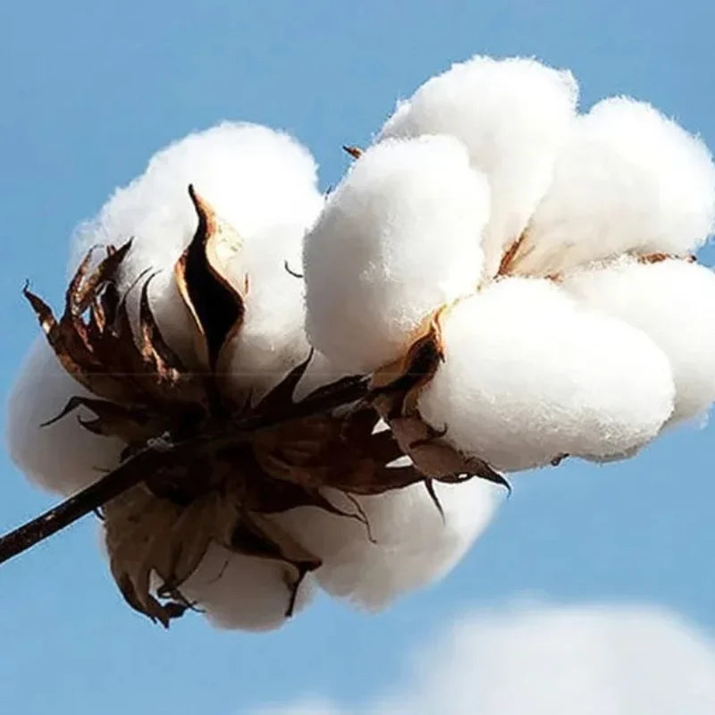 The Demogorgon Man Eating Flower Monster Zipper Hoodie Eddie Munson Zipper Autumn/Winter Men's Women's Extra Large Zipper Jacket