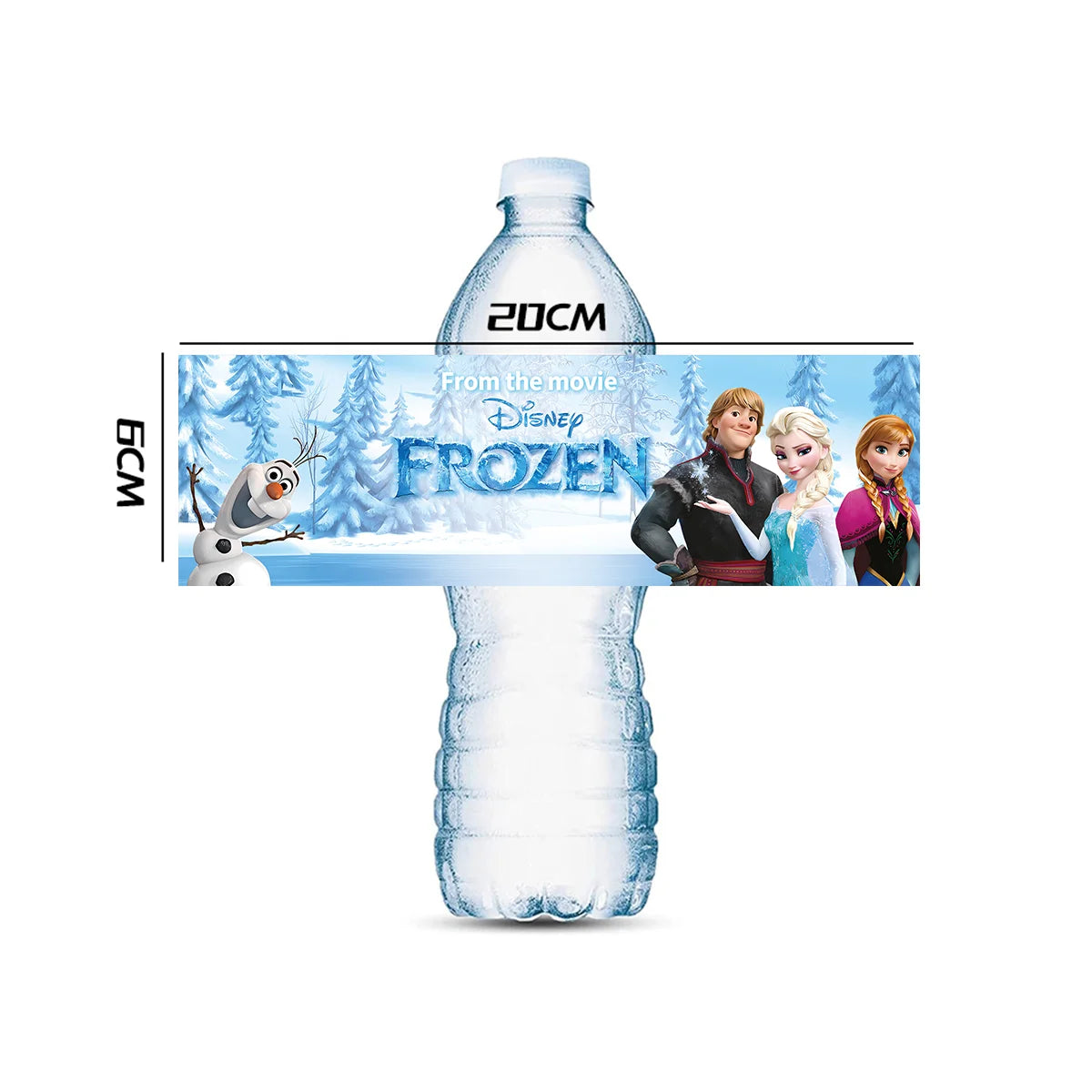 10/PCS Water Bottle Label For Children Disney Frozen Sticker Birthday Decoration Baby Shower Party Gift Girls Party Supplies DIY