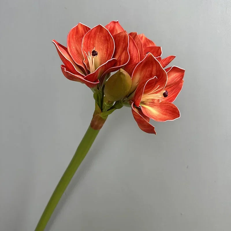 Dining Table Decorative Artificial Flowers Orange Clivias Fake Flower Hotel Decoration Real Touch Simulation Clivia Branch