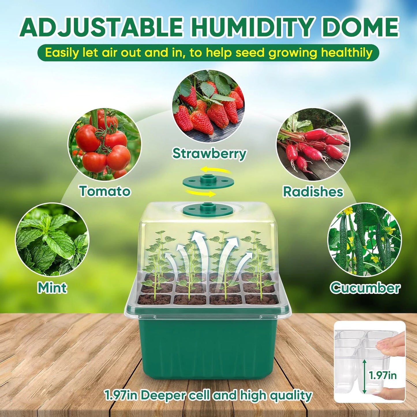 Seed starter tray with grow light, 2 seed germination kits, dome with adjustable humidity, seedling starter tray for home use