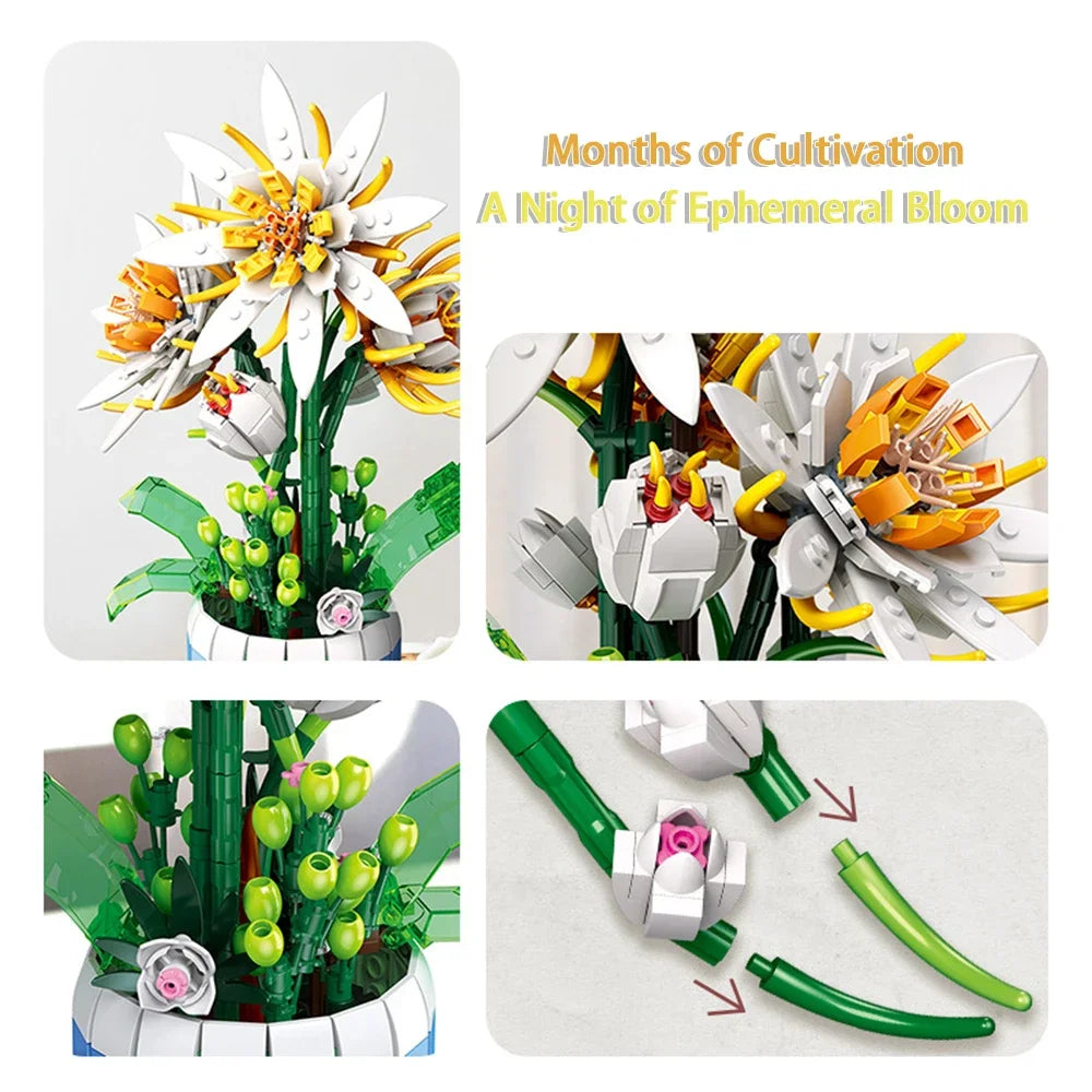 KNEW BUILT Creative 3D Epiphyllum Potted Building Block Toy-Uplift Mood with Love,Ideal Holiday Gift For Girl,Decorate Your Home