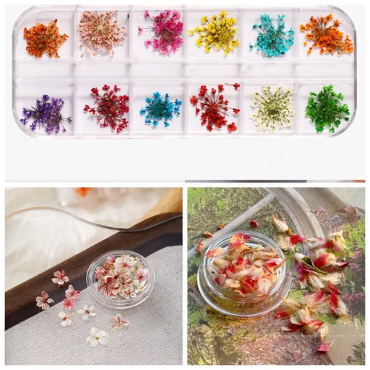 Nail Art Dried Flowers Japanese-Style Instagram Mix Real Flowers Baby's Breath Small Floral Box Handmade DIY Nail Decorations
