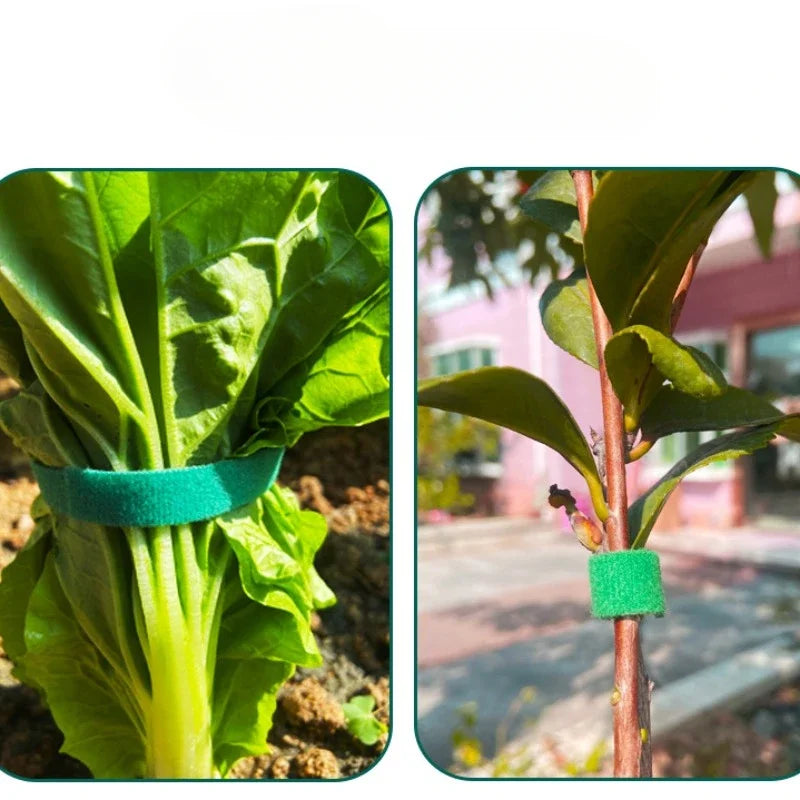 Reusable Plant Support Hook-and-loop Fastener Garden Accessories Garden Tape Nylon Cable Tie for Plants Flowers Growing Climbing
