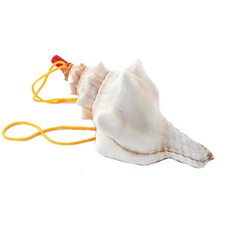 Disney New Summer Movie Hot Moana 2 Short-sleeved Clothes Girl Cosplay Moana Princess One-Shoulder Suspender Dress + Wig Set